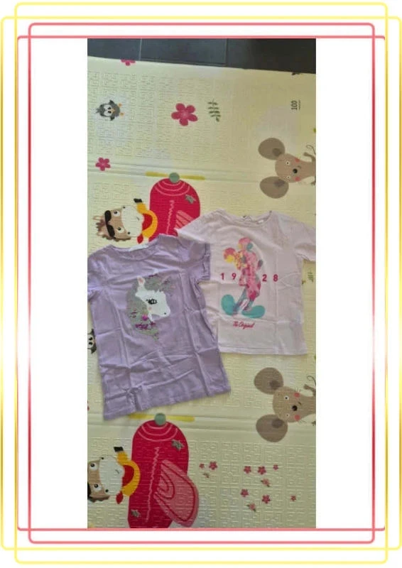 Lot de 2 tee shirts